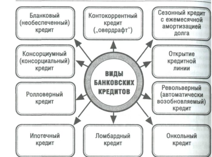 Виды кредитов схема