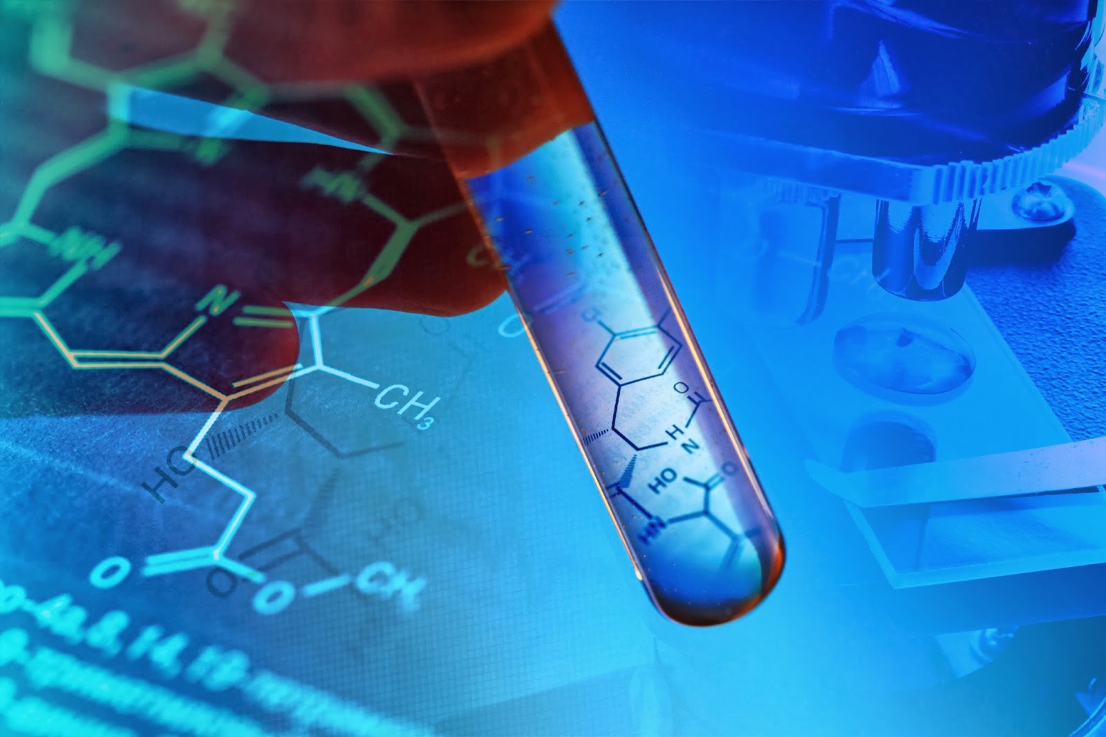 Тест днк по фото онлайн бесплатно без регистрации